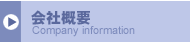 ЊTv