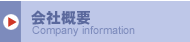 ЊTv